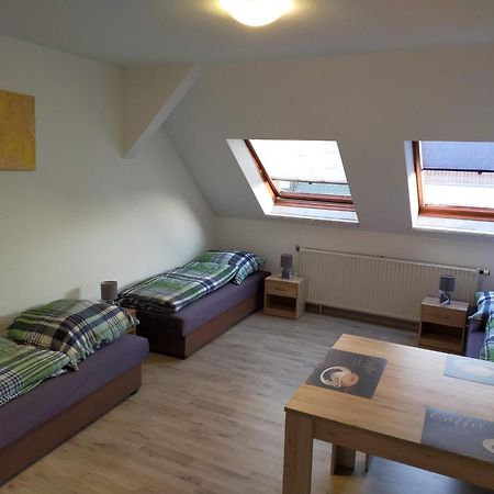 Flex Aparts - Grosse, Moeblierte Wohnung In Zwickau Mit 2 Zimmern Екстер'єр фото