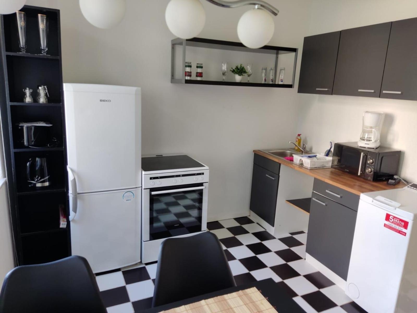 Flex Aparts - Grosse, Moeblierte Wohnung In Zwickau Mit 2 Zimmern Екстер'єр фото